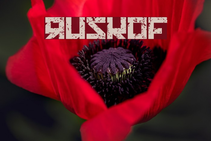 RUSKOF Font examples