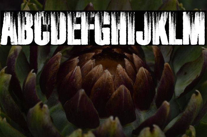 RUSTED PERSONAL USE Example 3