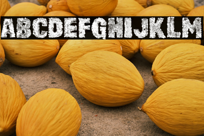 RUSTY CAGE PERSONAL USE Regular Example 1