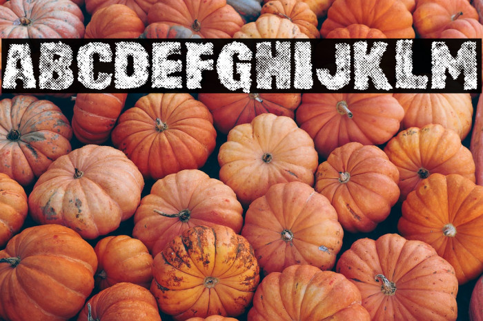 RUSTY CAGE PERSONAL USE Regular Example 3