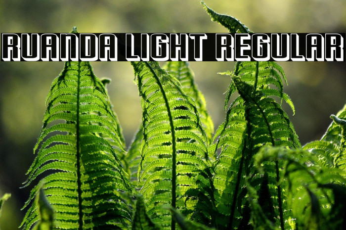 Ruanda Light Regular Example 2