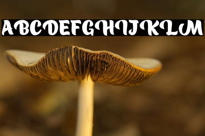 Ruang Jenuh Example 3