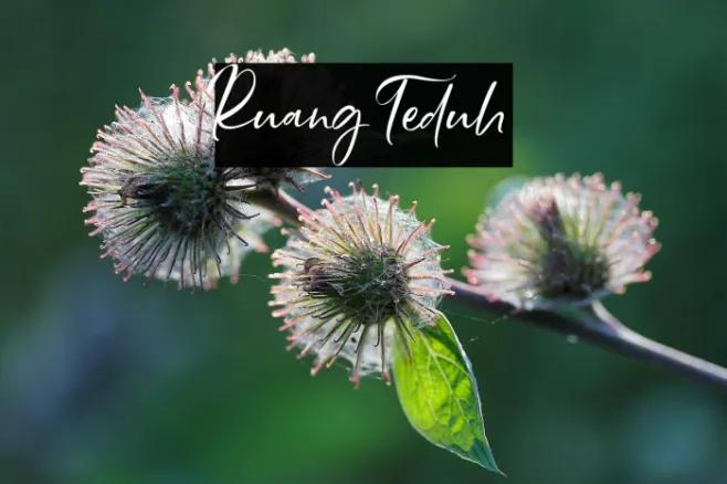 Ruang Teduh Example 1