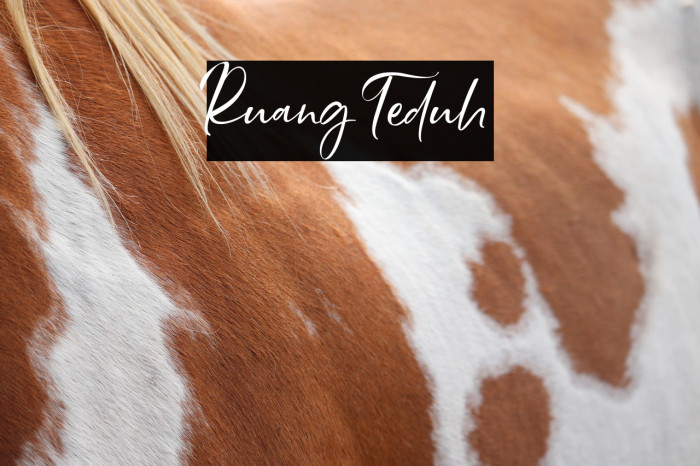 Ruang Teduh Example 3