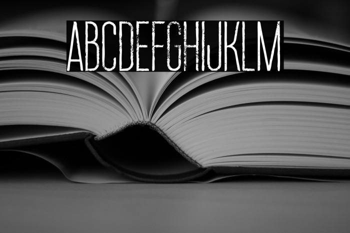 Ruas Medium Grunge Example 3