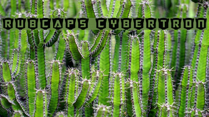 RubCaps Cybertron Font examples