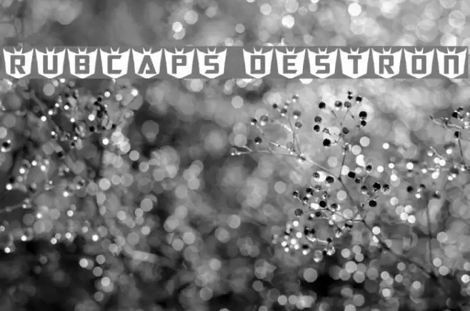 RubCaps Destron Font examples