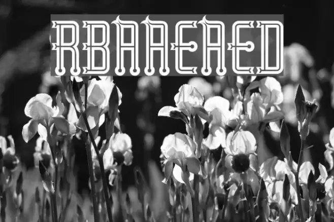 RubaiyatEngraved خط examples