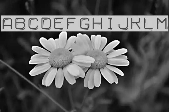 Ruban Dismoi Tryout Font examples