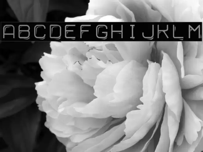 Ruban Dismoi Tryout Font examples