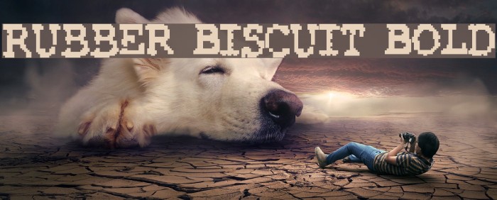 Rubber Biscuit Bold Font examples