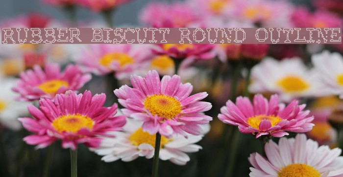 Rubber Biscuit Round Outline Font examples