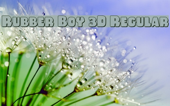 Rubber Boy 3D Regular Polices examples