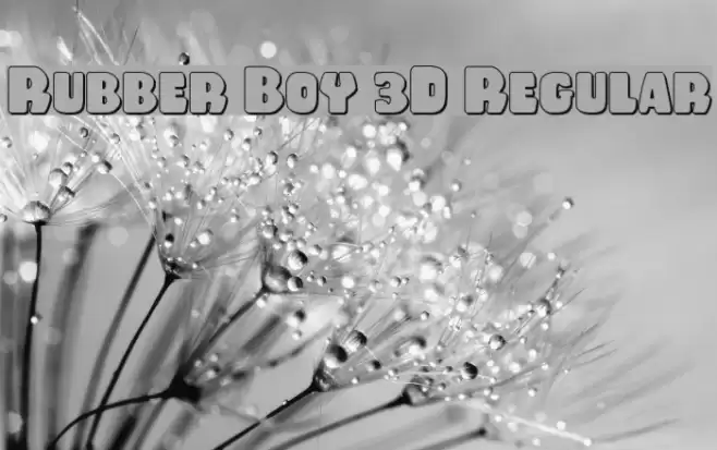 Rubber Boy 3D Regular Font examples