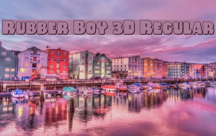 Rubber Boy 3D Regular Polices examples