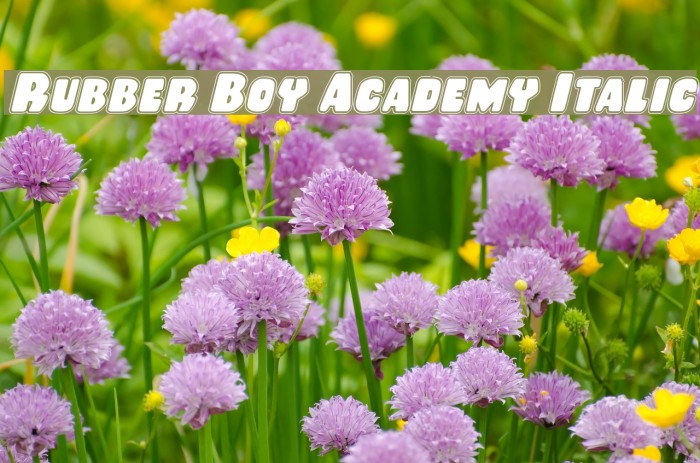 Rubber Boy Academy Italic Font examples