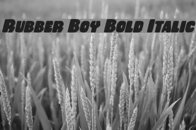 Rubber Boy Bold Italic Font examples