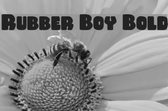 Rubber Boy Bold Font examples