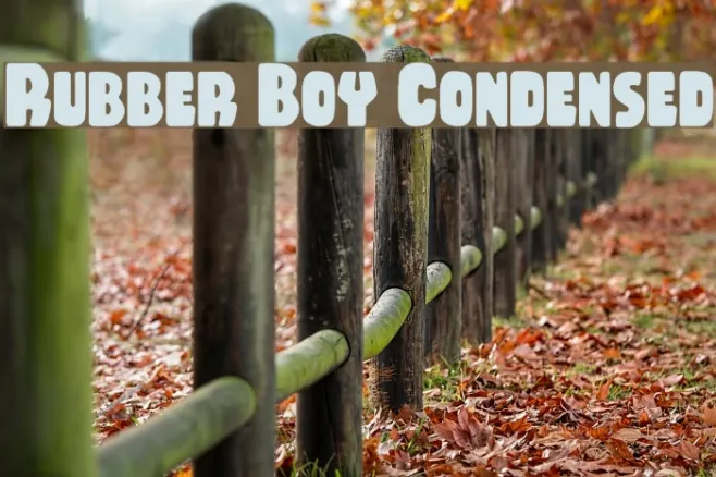 Rubber Boy Condensed Example 3