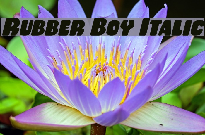 Rubber Boy Italic Font examples