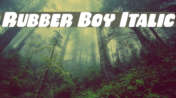 Rubber Boy Italic Font examples