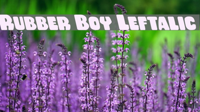 Rubber Boy Leftalic Font examples