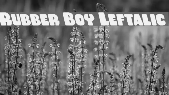 Rubber Boy Leftalic خط examples