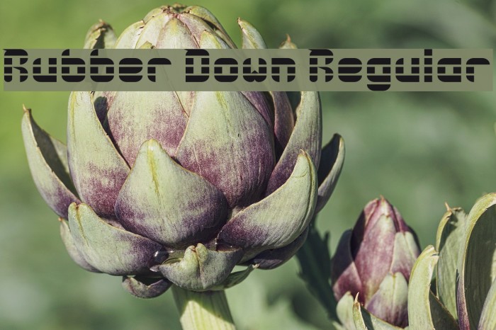 Rubber Down Regular Font examples