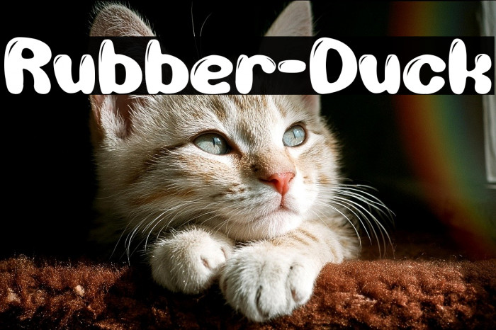 Rubber-Duck Example 1