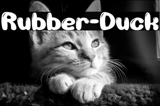 Rubber-Duck Font examples