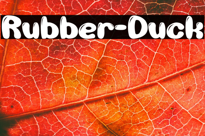 Rubber-Duck Example 2