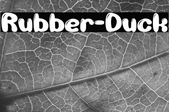 Rubber-Duck Font examples