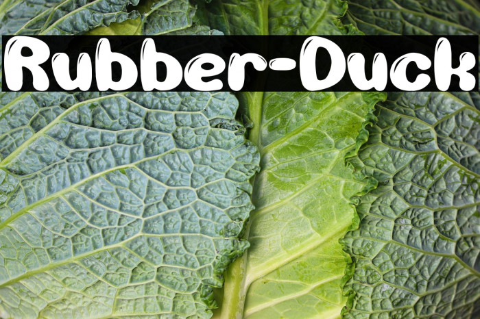 Rubber-Duck Example 3