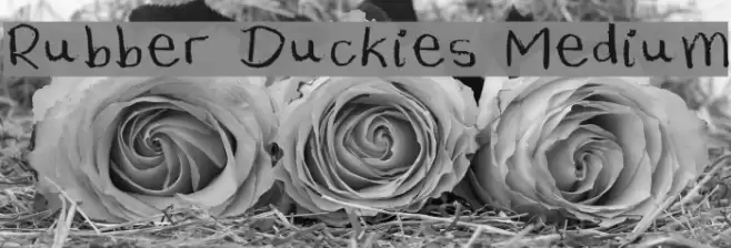 Rubber Duckies Medium Font examples