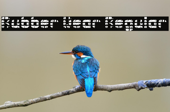 Rubber Wear Regular Example 2