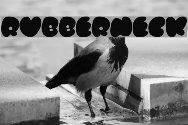Rubberneck Schriftart examples