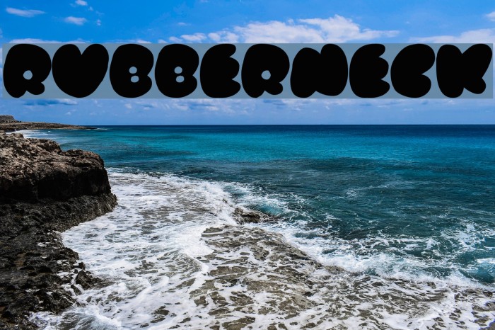 Rubberneck Font examples