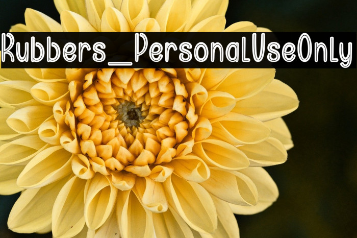 Rubbers_PersonalUseOnly Example 1