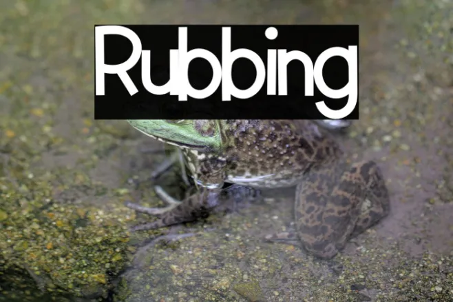 Rubbing Example 1