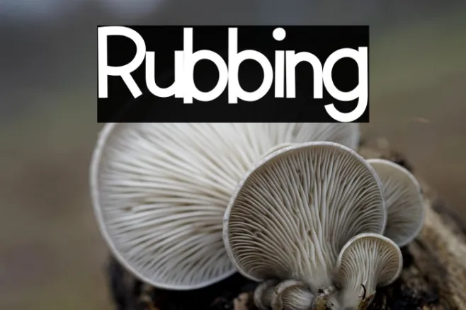 Rubbing Example 2