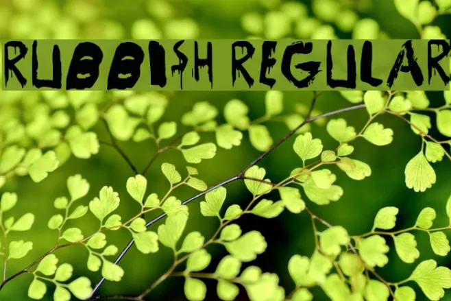 Rubbish Regular Example 1