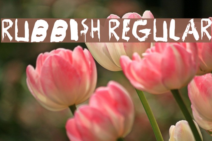 Rubbish Regular Font examples