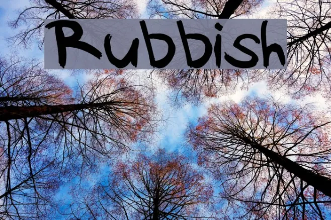 Rubbish Example 3