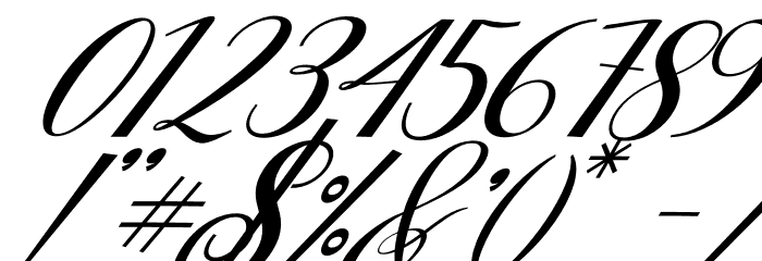 Rubeckia Italic Font OTHER CHARS