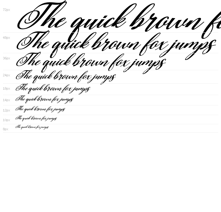 Rubeckia Italic Waterfall