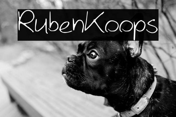 RubenKoops Example 1