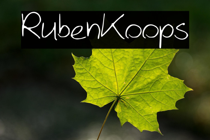 RubenKoops Example 2
