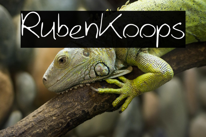 RubenKoops Example 3