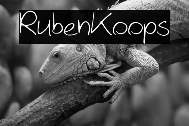 RubenKoops Font examples
