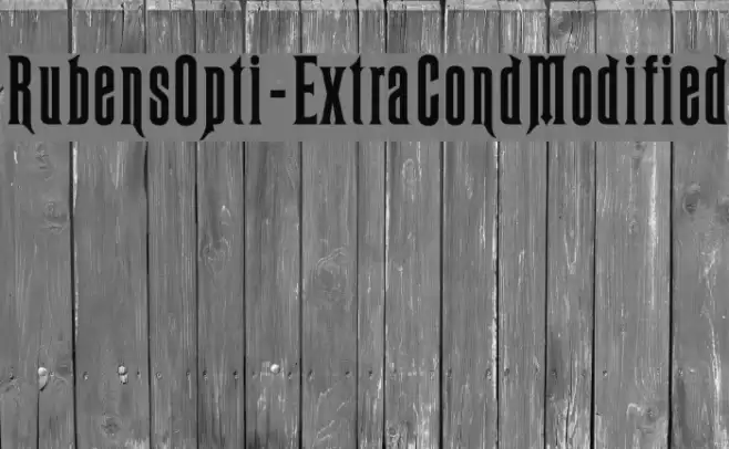 RubensOpti-ExtraCondModified Font examples